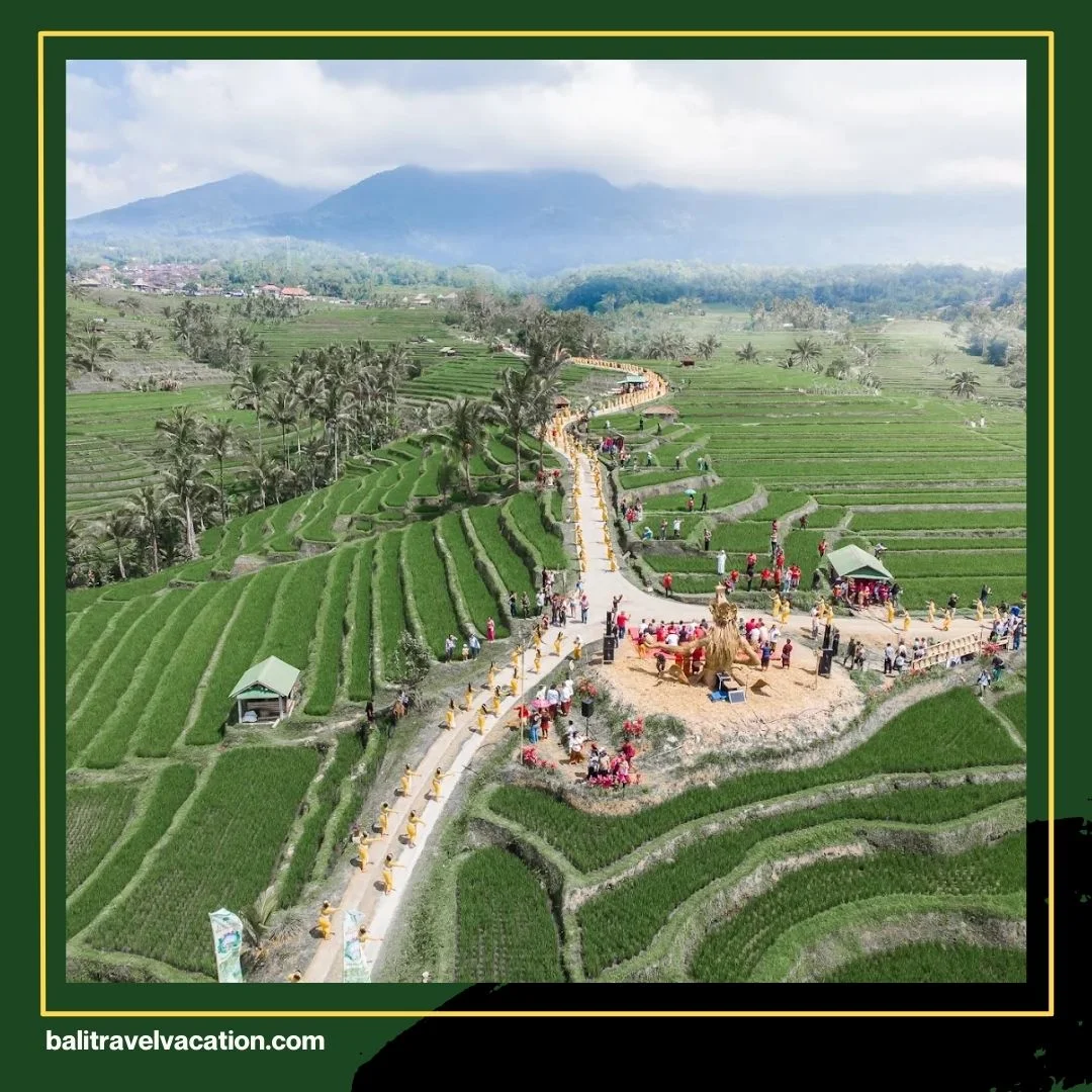 Ubud Bali Rice Terrace Tour