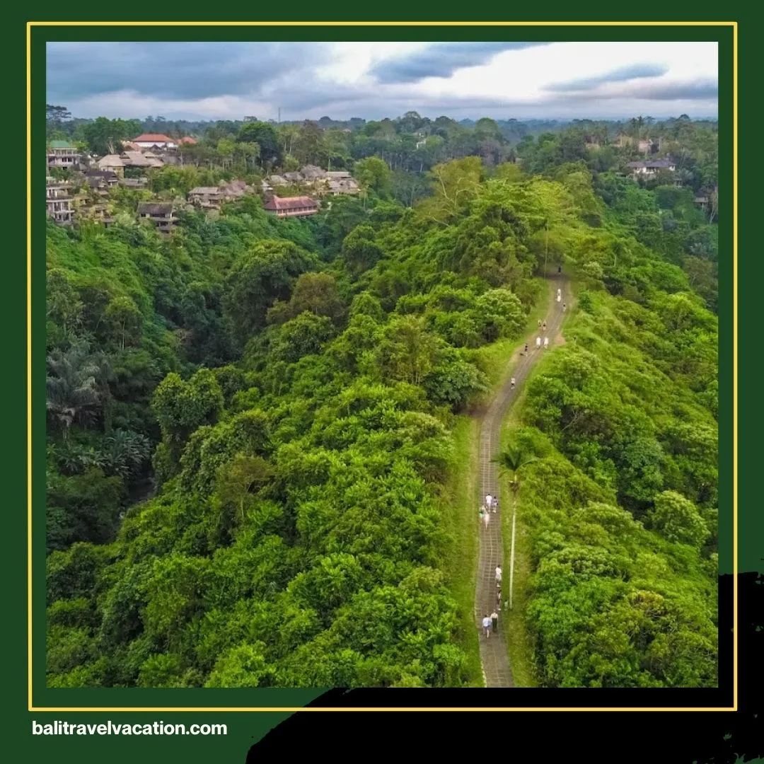 Ubud Bali Rice Terrace Tour