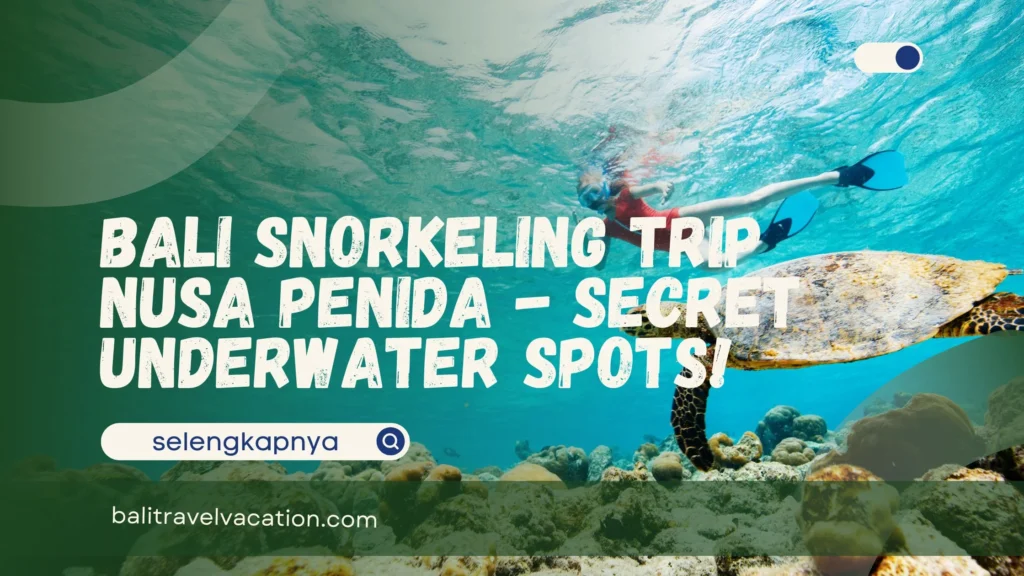 Bali Snorkeling Trip Nusa Penida