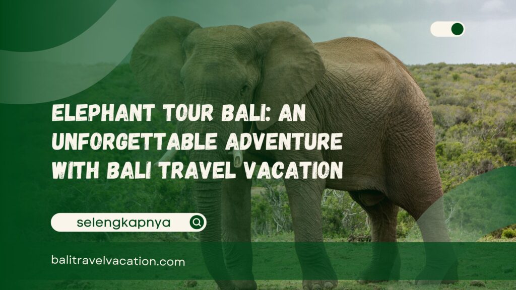 Elephant Tour Bali An Unforgettable Adventure with Bali Travel Vacation