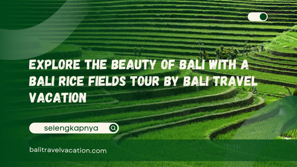 Explore the Beauty of Bali with a Bali Rice Fields Tour by Bali Travel Vacation