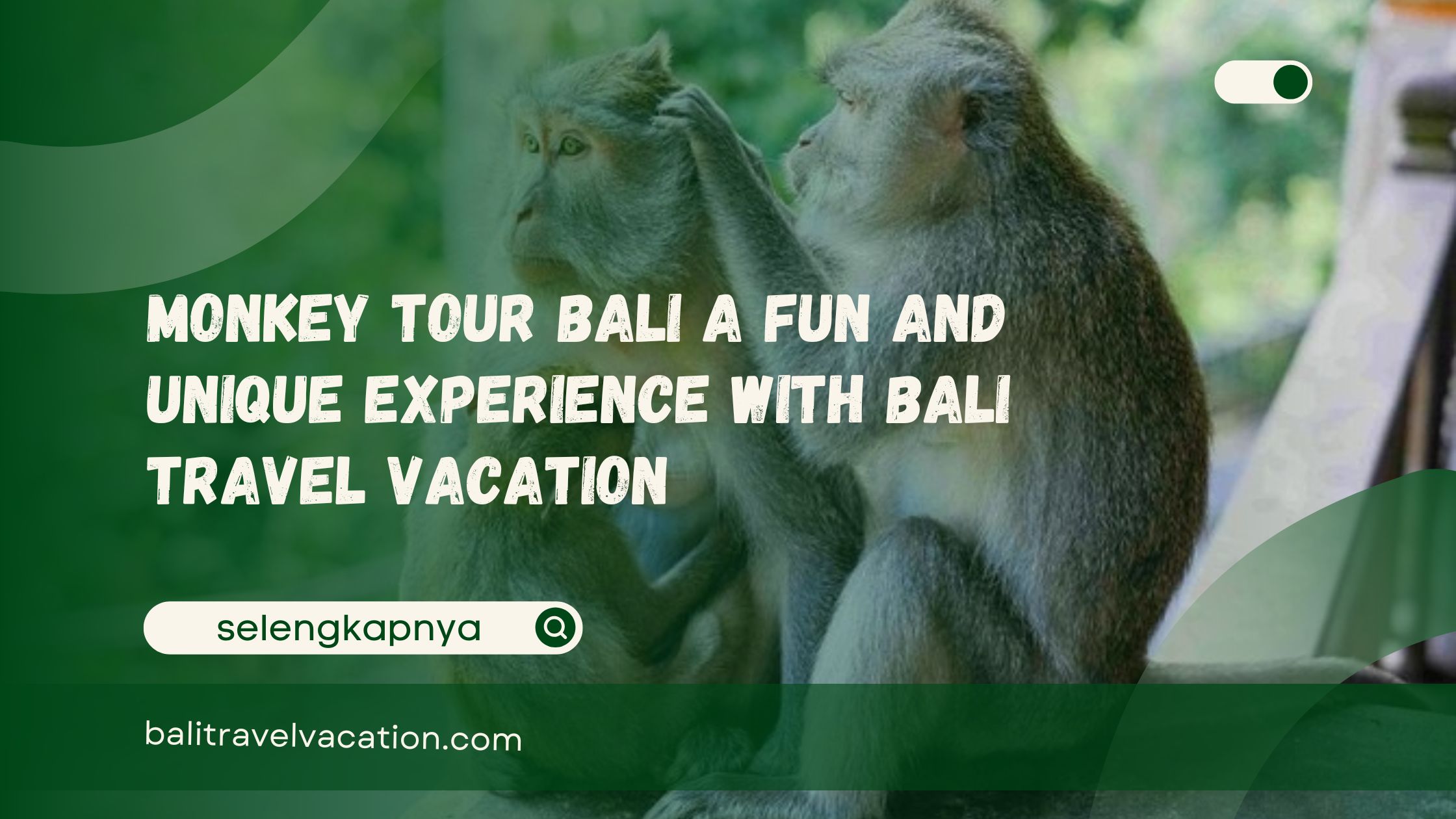 Monkey Tour Bali A Fun and Unique Experience with Bali Travel Vacation
