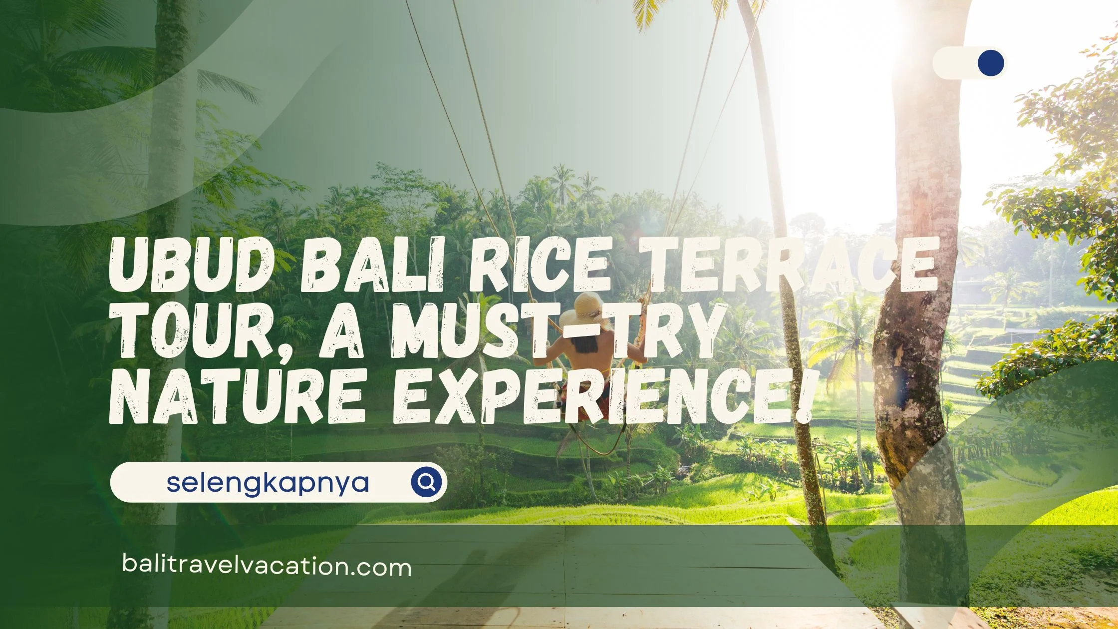 Ubud Bali Rice Terrace Tour