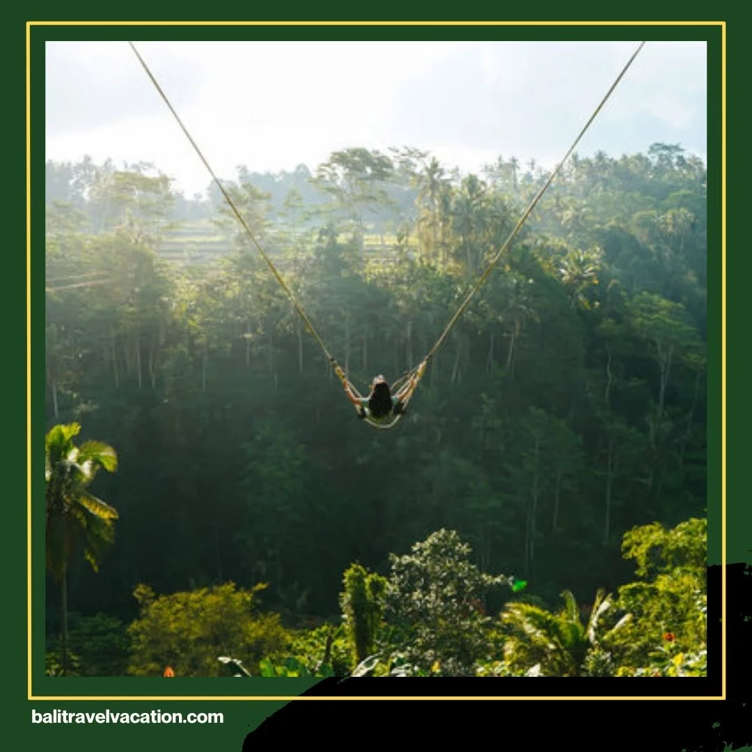 Bali Swing Experience