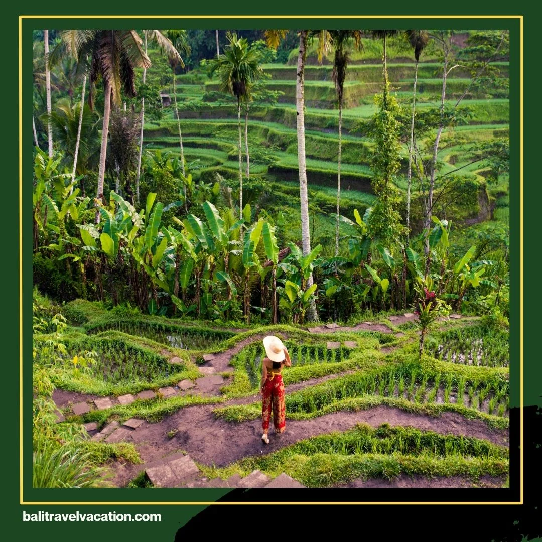 Rekomendasi Tempat Liburan di Bali