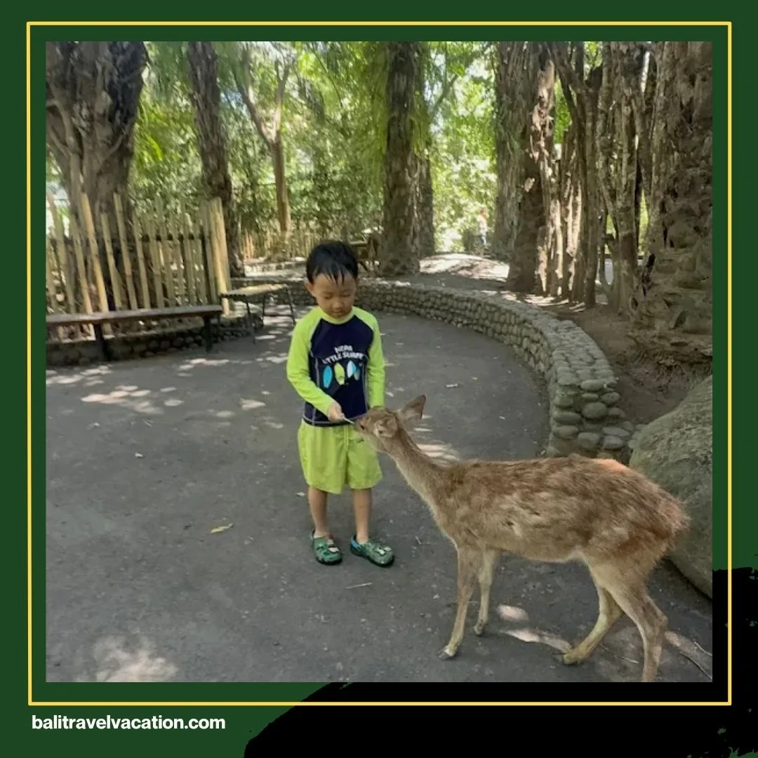 Rekomendasi Tempat Wisata Anak di Bali