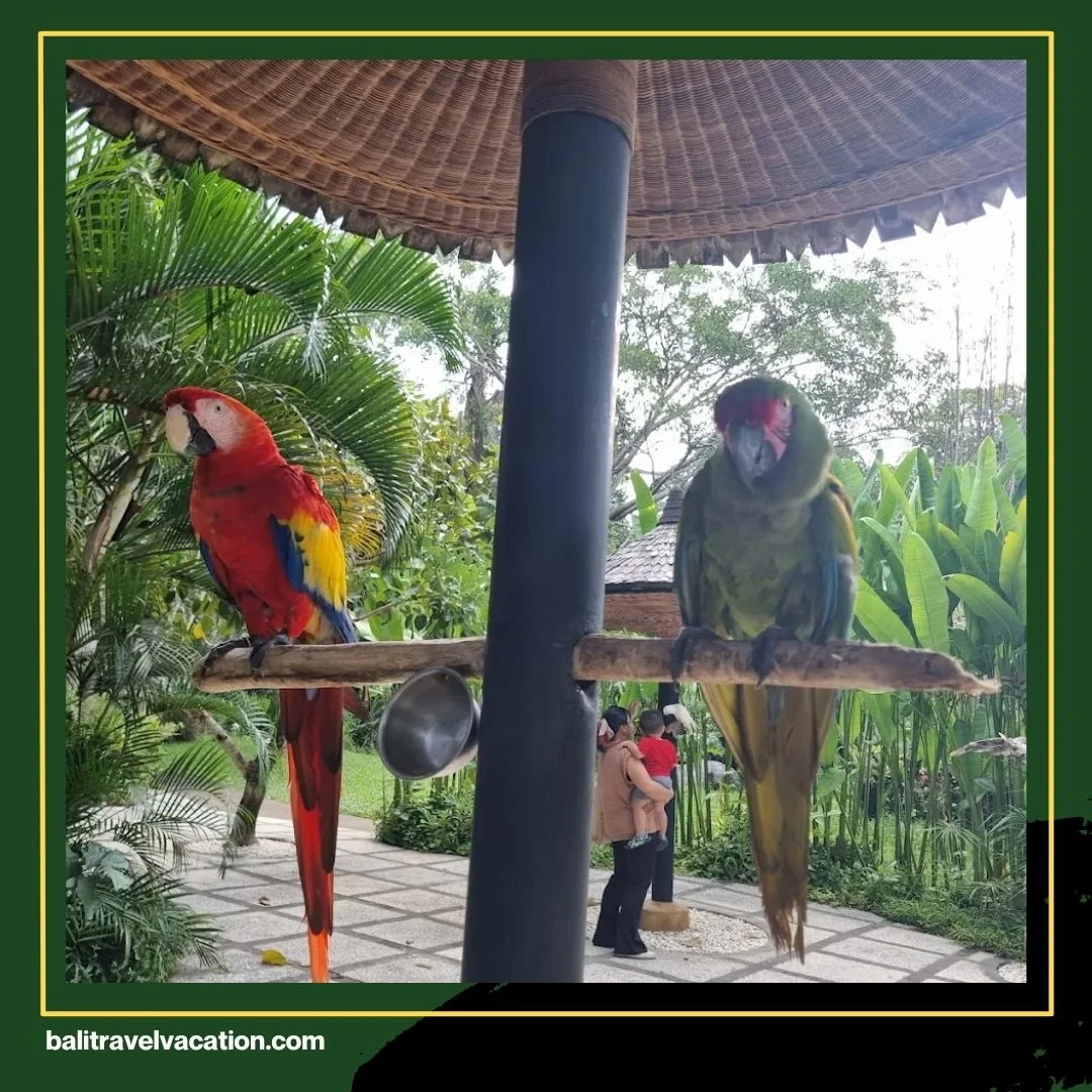 Rekomendasi Tempat Wisata Anak di Bali