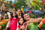 Bali Bird Park