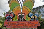 Bali Kemenuh Butterfly Park