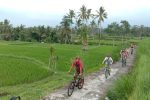 Bali Kintamani Cycling
