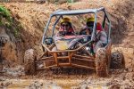 Buggy UTV