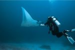 bali scuba diving